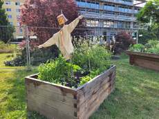 Der Garten wird bewacht von einer Vogelscheuche