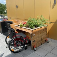 Ein Rollibeet Single auf der Terrasse des Haus der Zukunft
