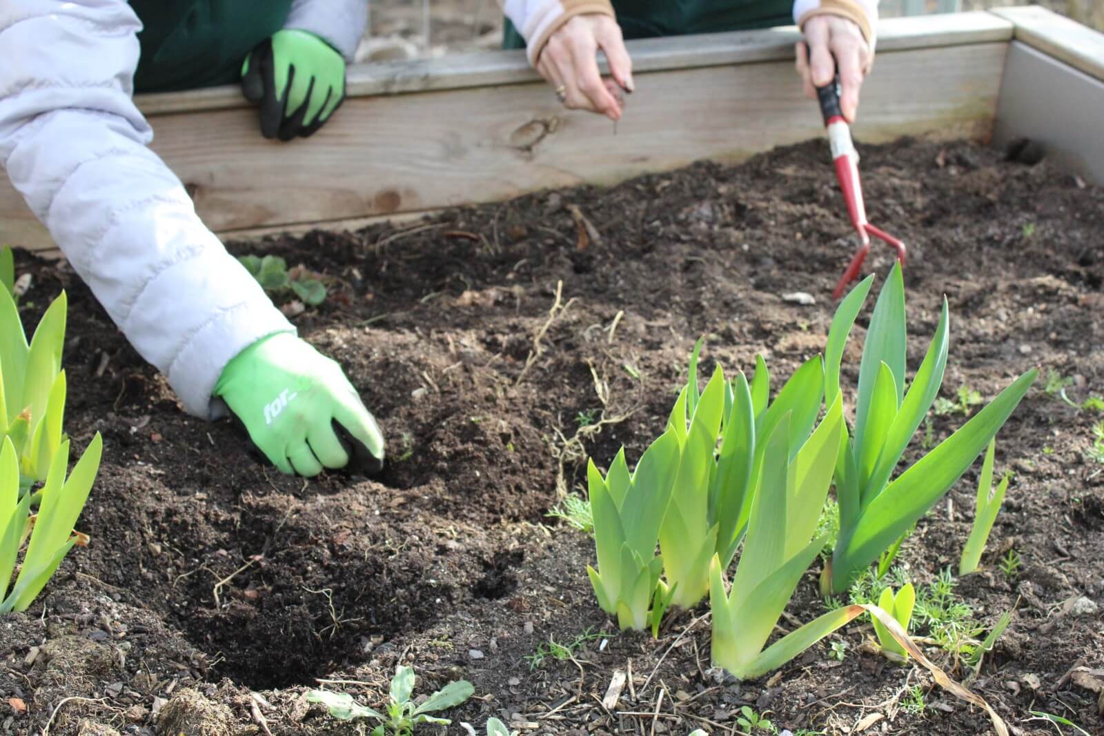 Frühling 2024 im ASB Seniorenheim